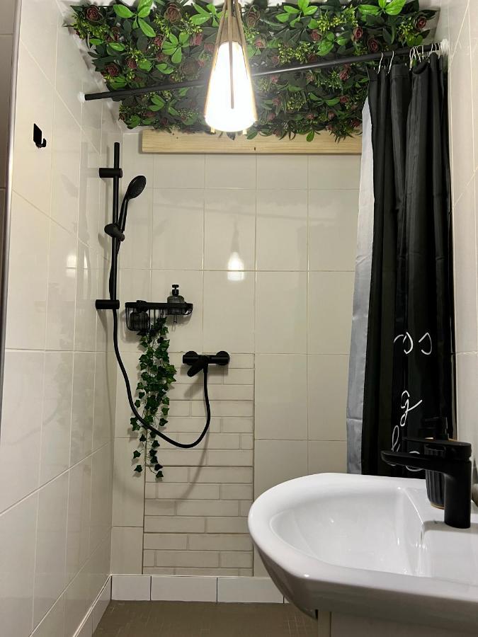 דירות סיגישוארה Nacada Studio By Hyco מראה חיצוני תמונה